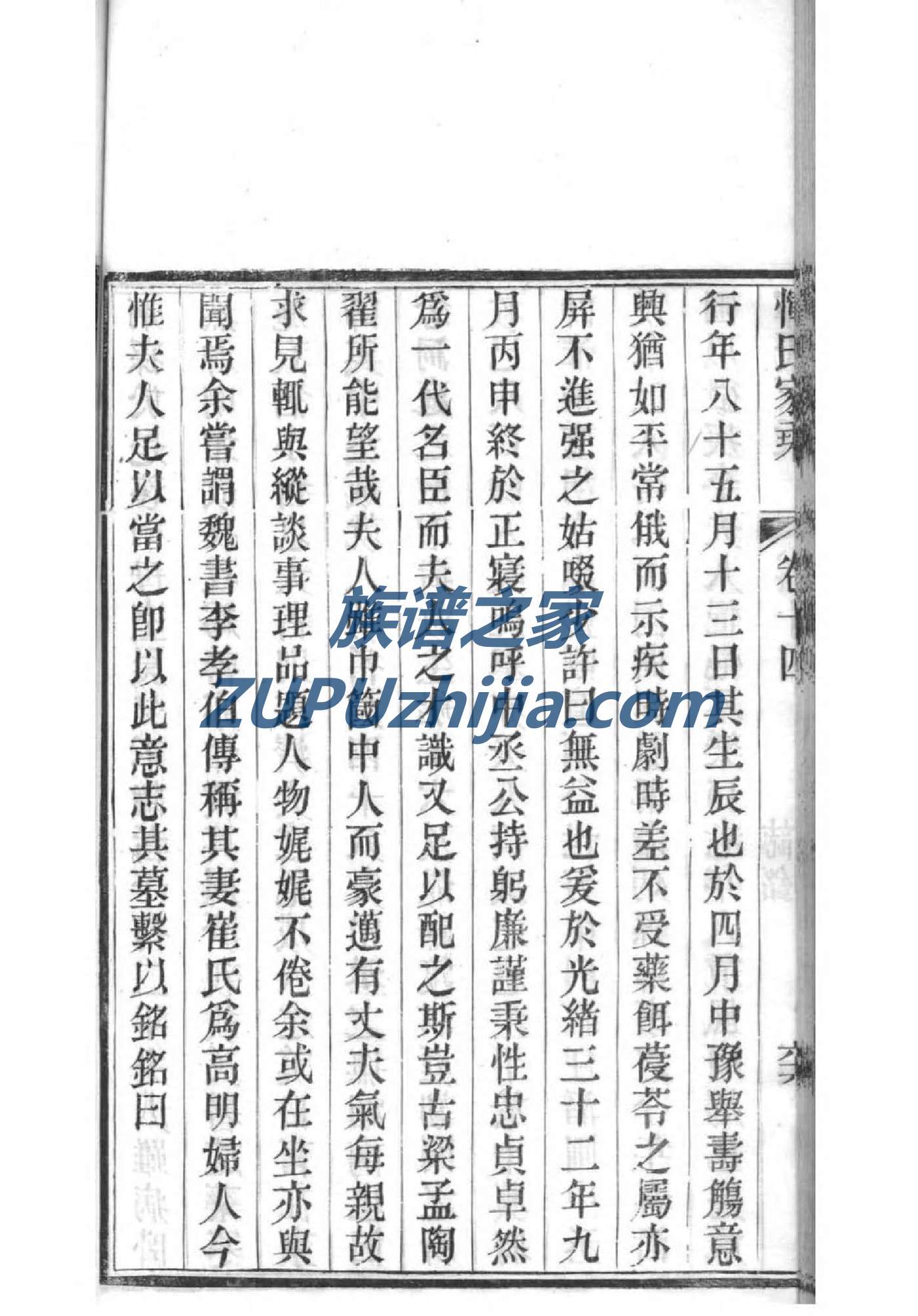 族谱族谱制作