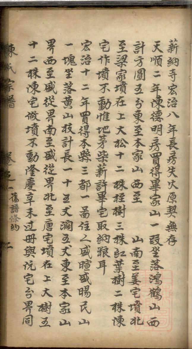 族谱荣耀