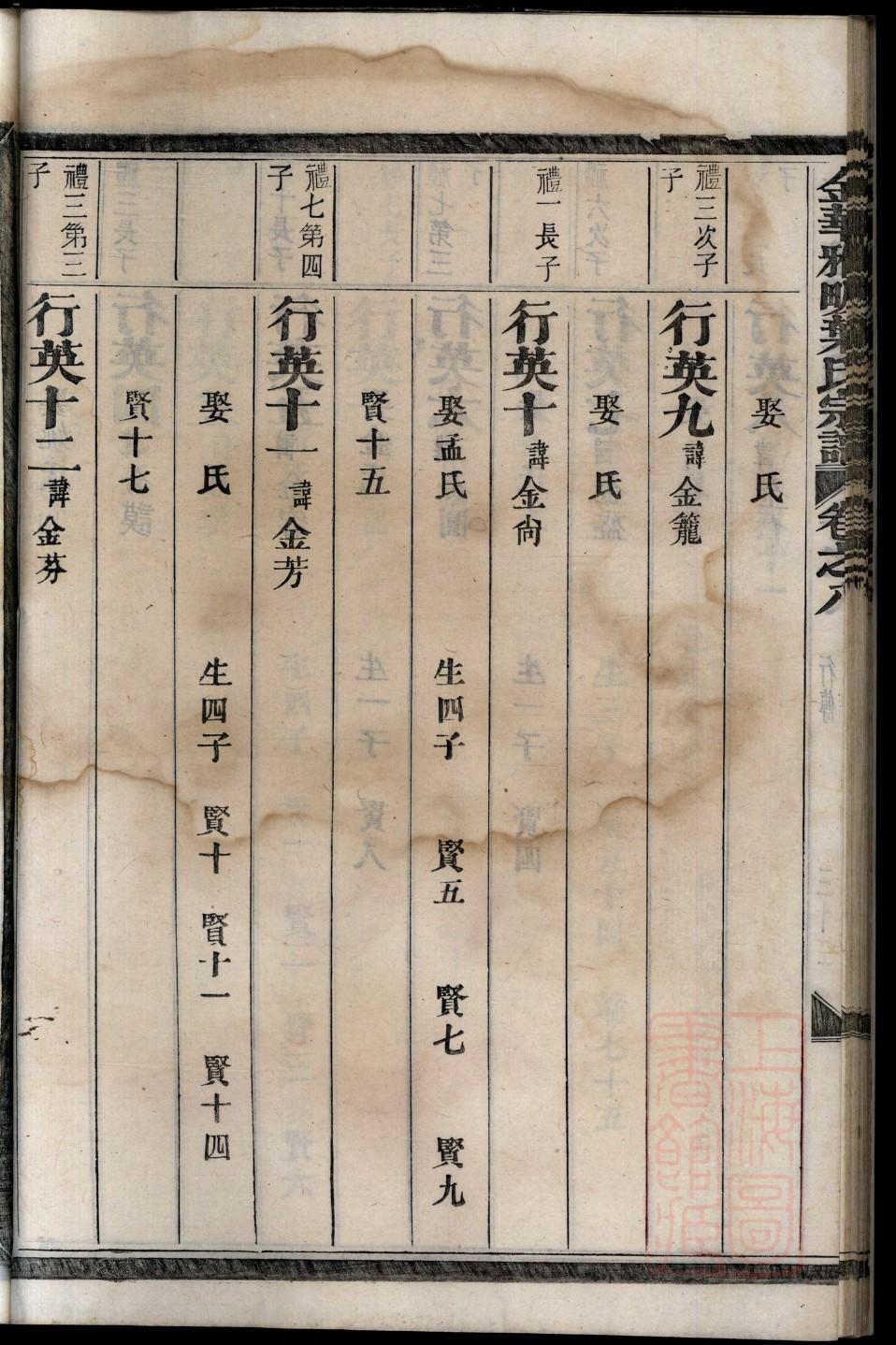 混乱族谱