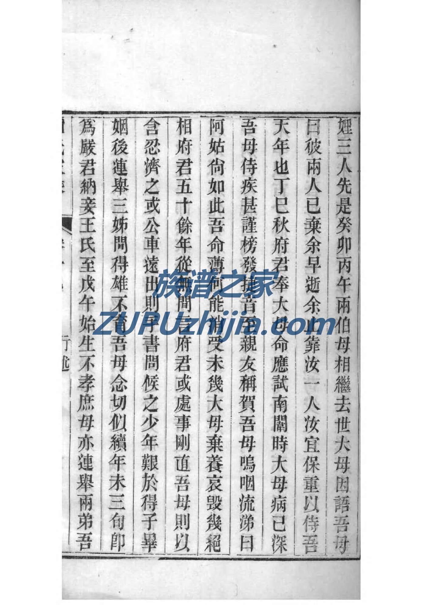 冷家族谱查询