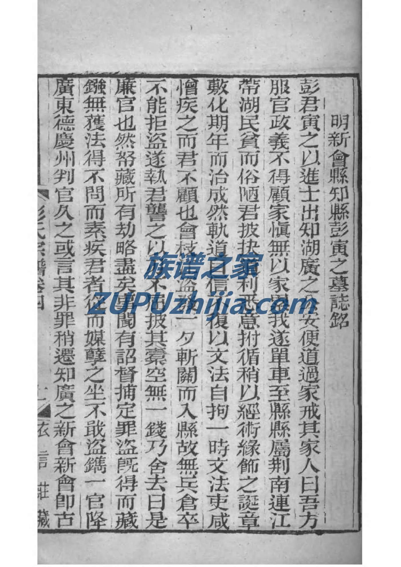 新式家谱的制作