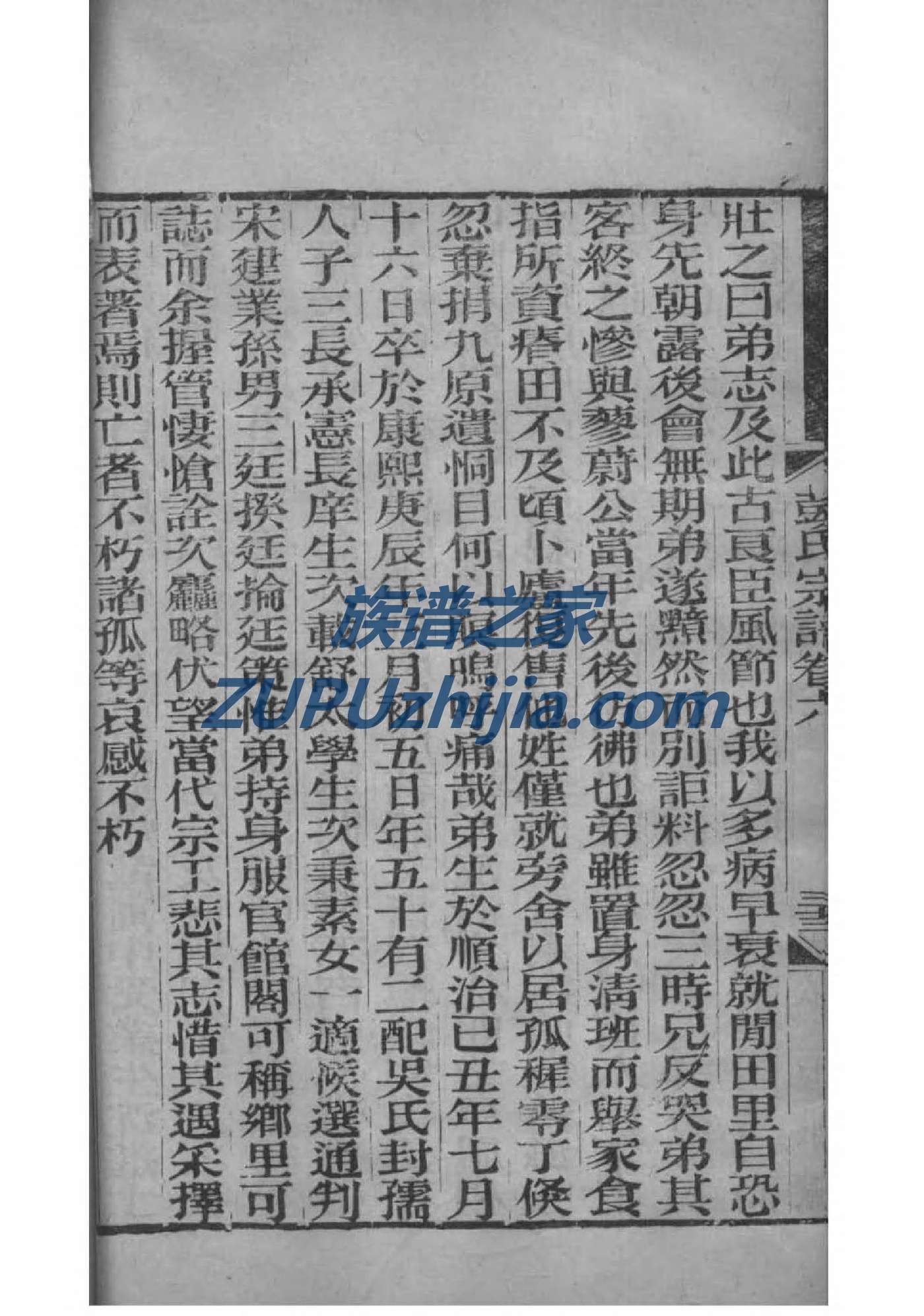 家谱格式制作