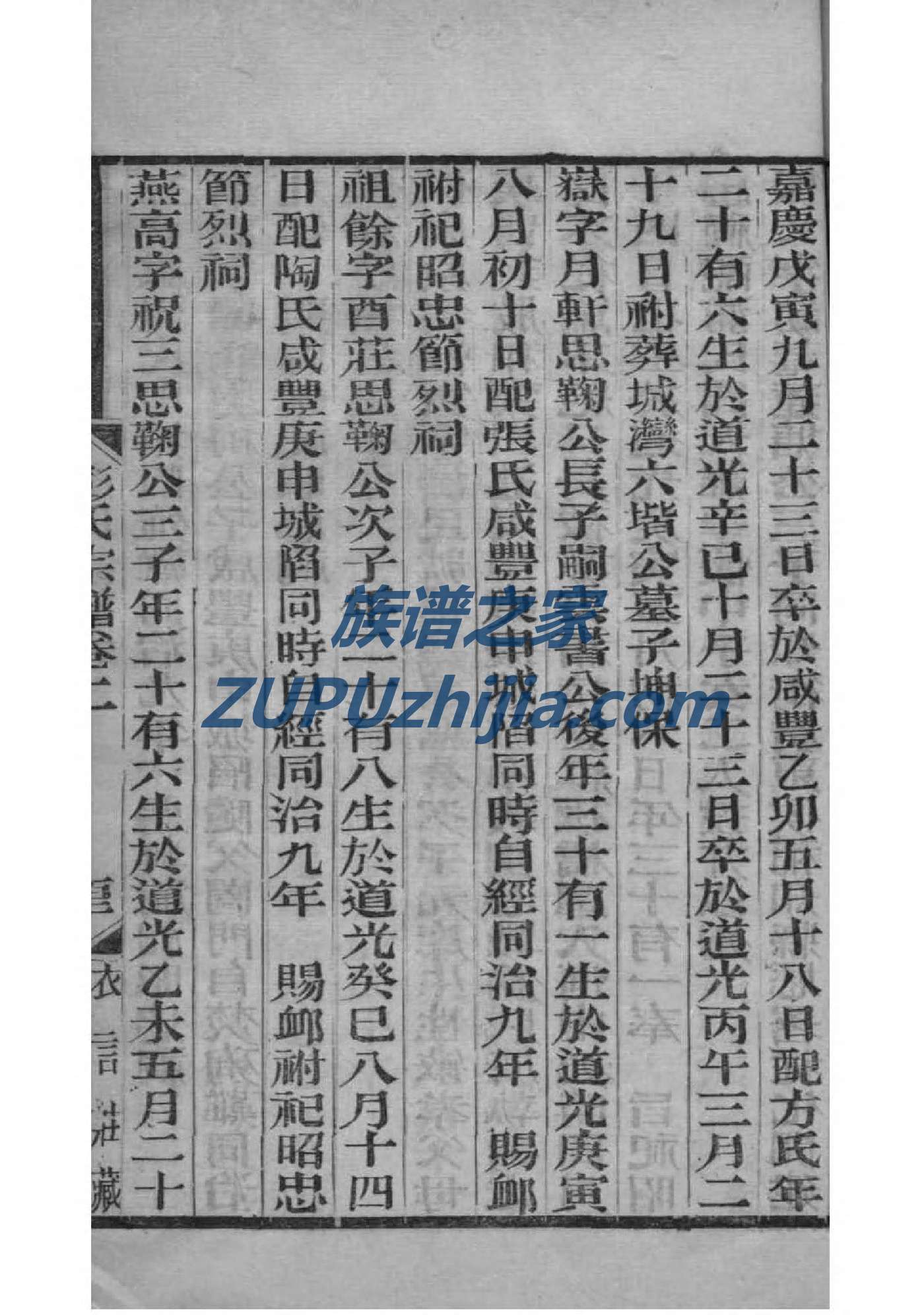 曾氏族谱哪里买