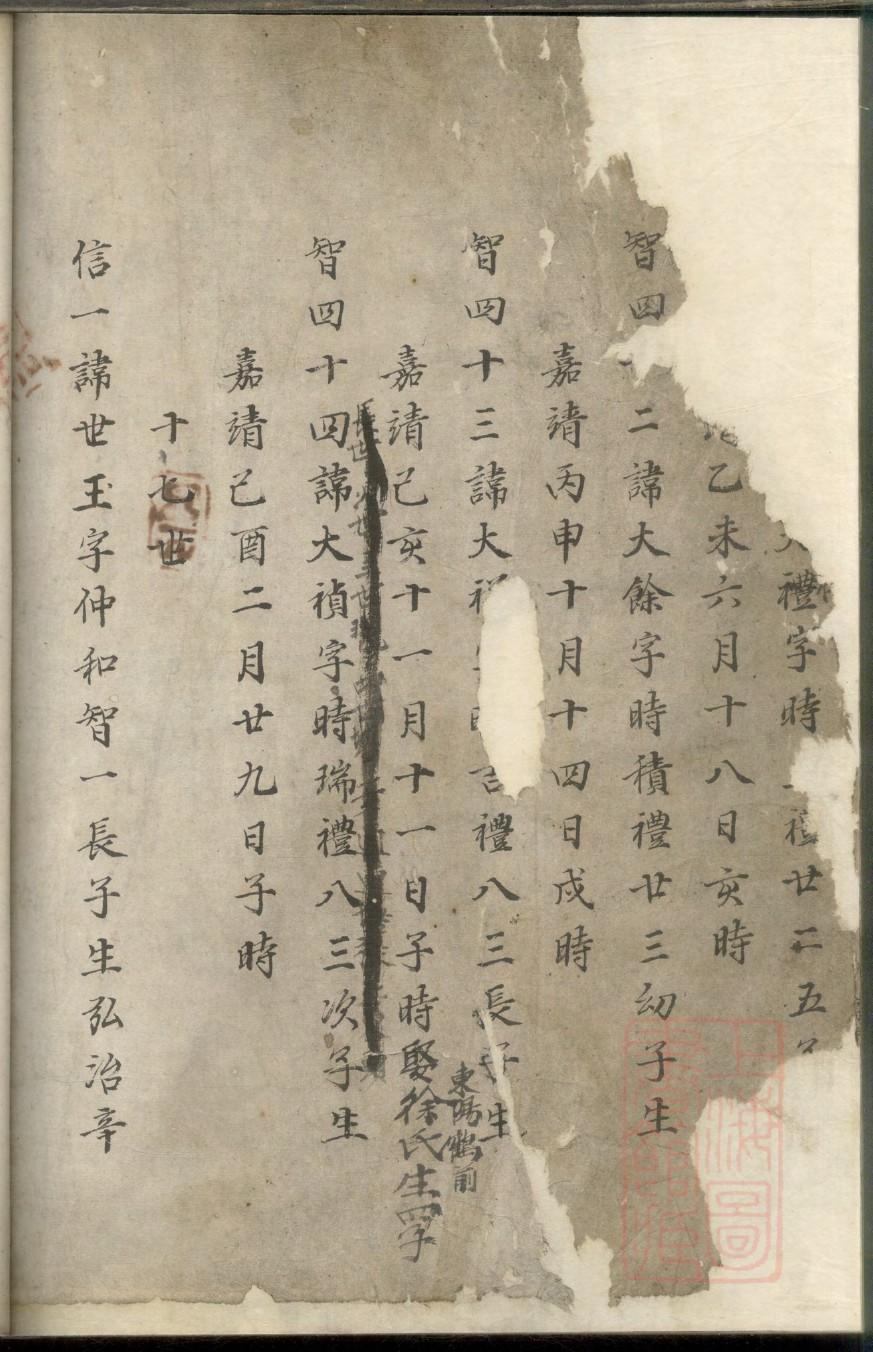 制作家谱图片大全