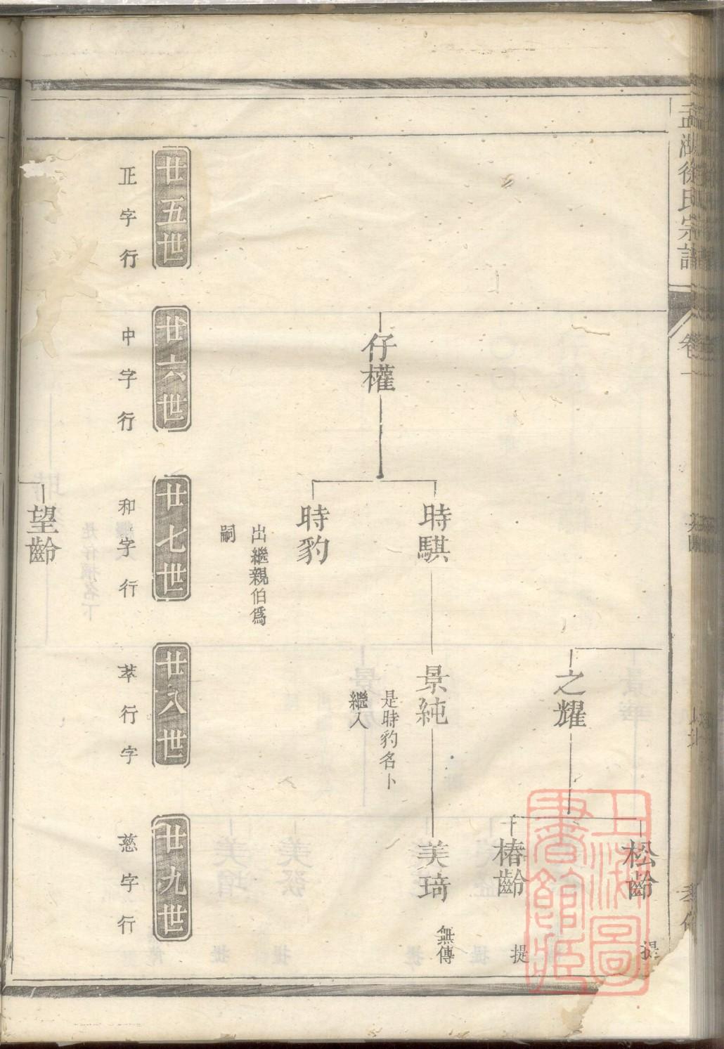 族谱的软件