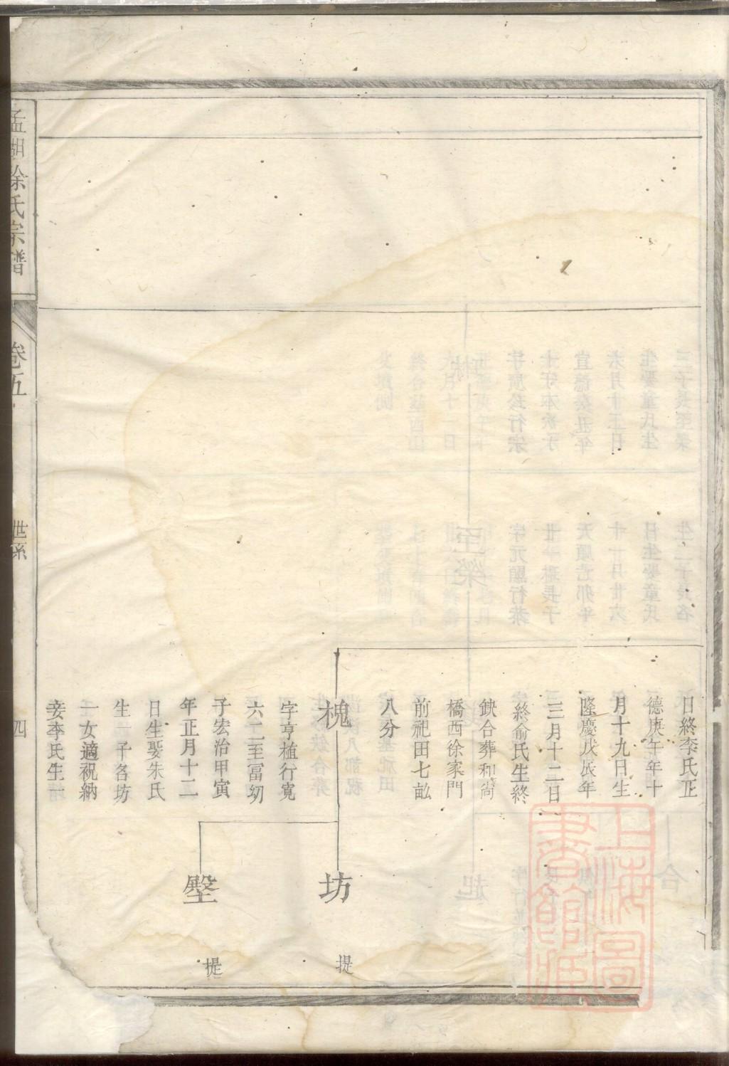 芒家族谱查询