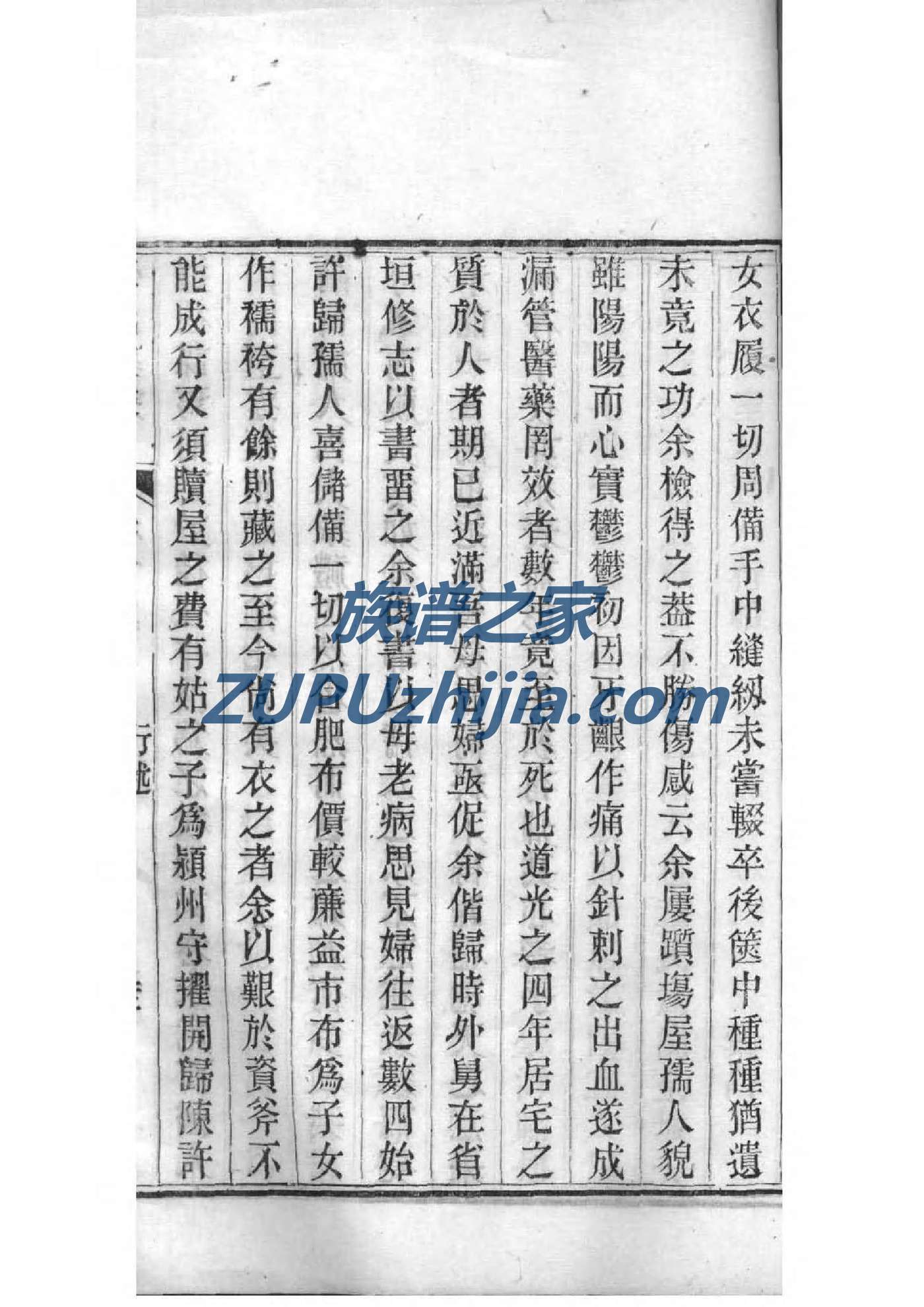 熊家家谱查询