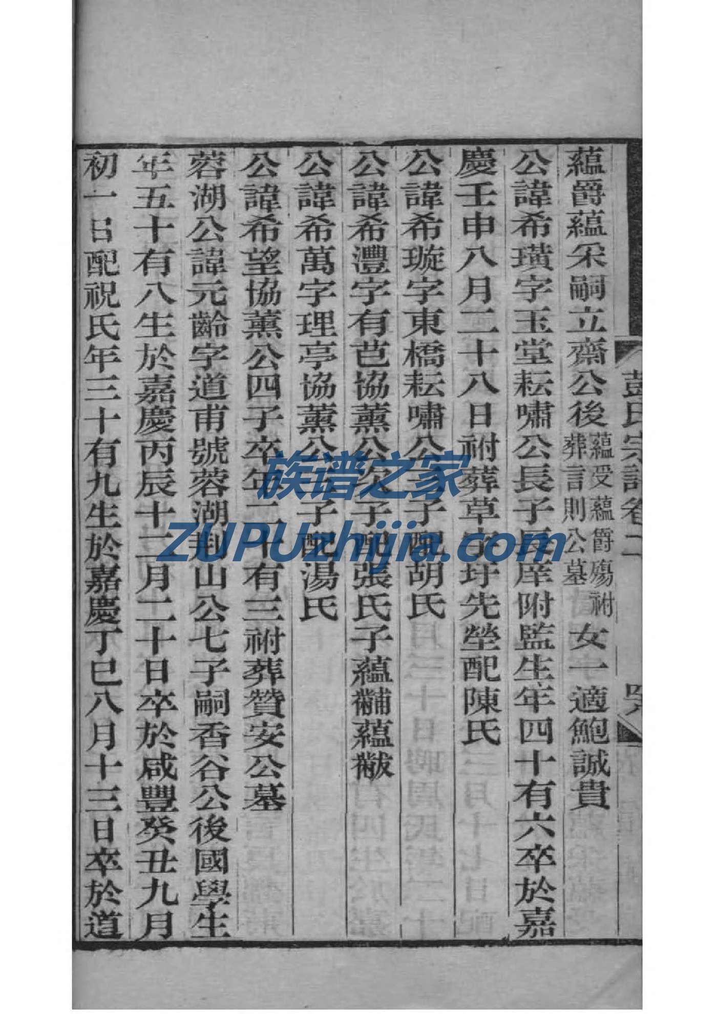 秘家家谱查询