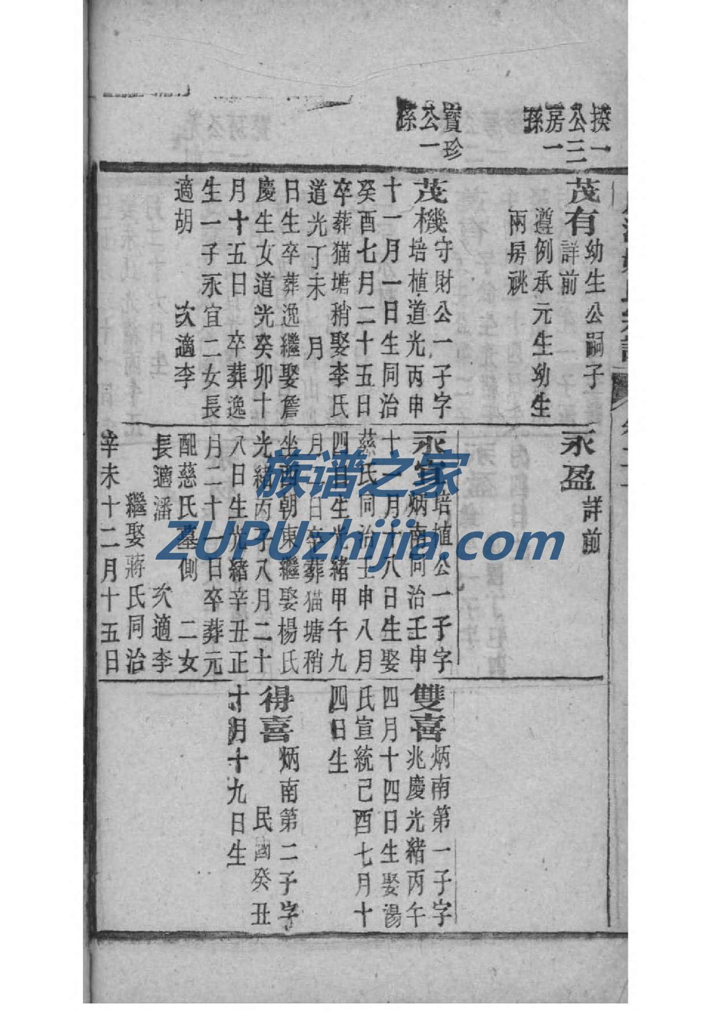 聂家族谱在那