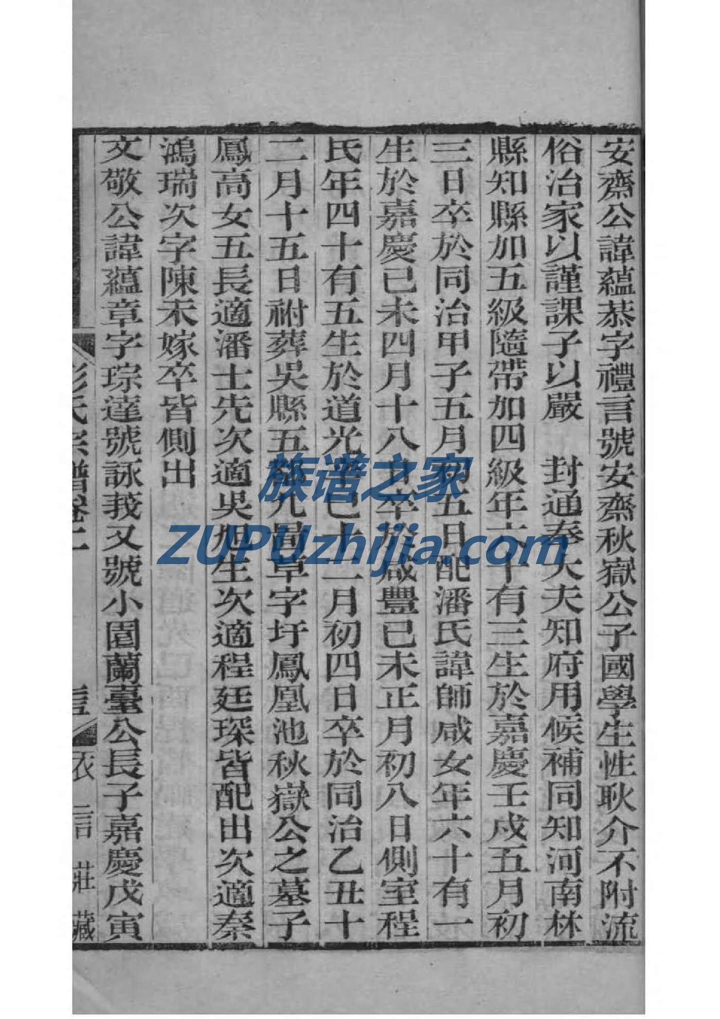 保氏族谱大全