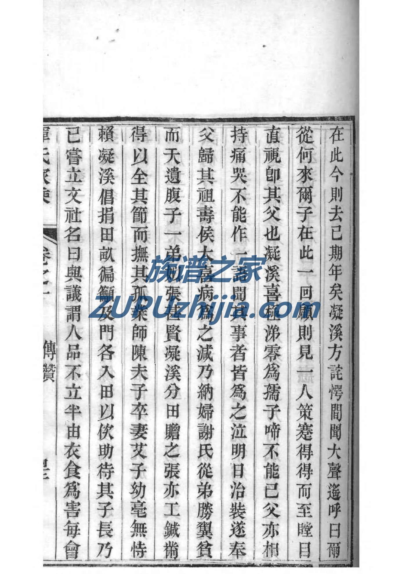 族谱怎么查