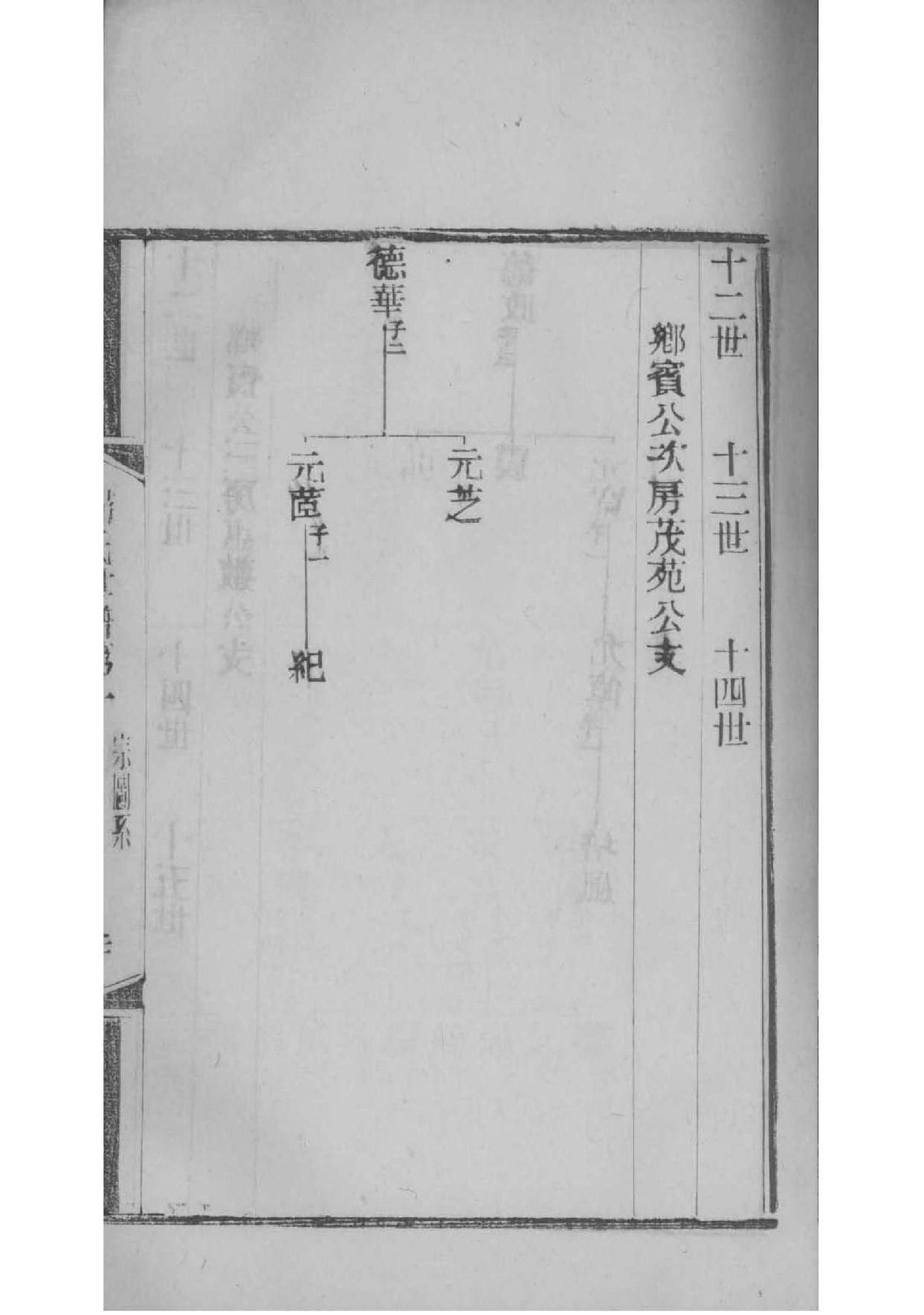 家谱电子版