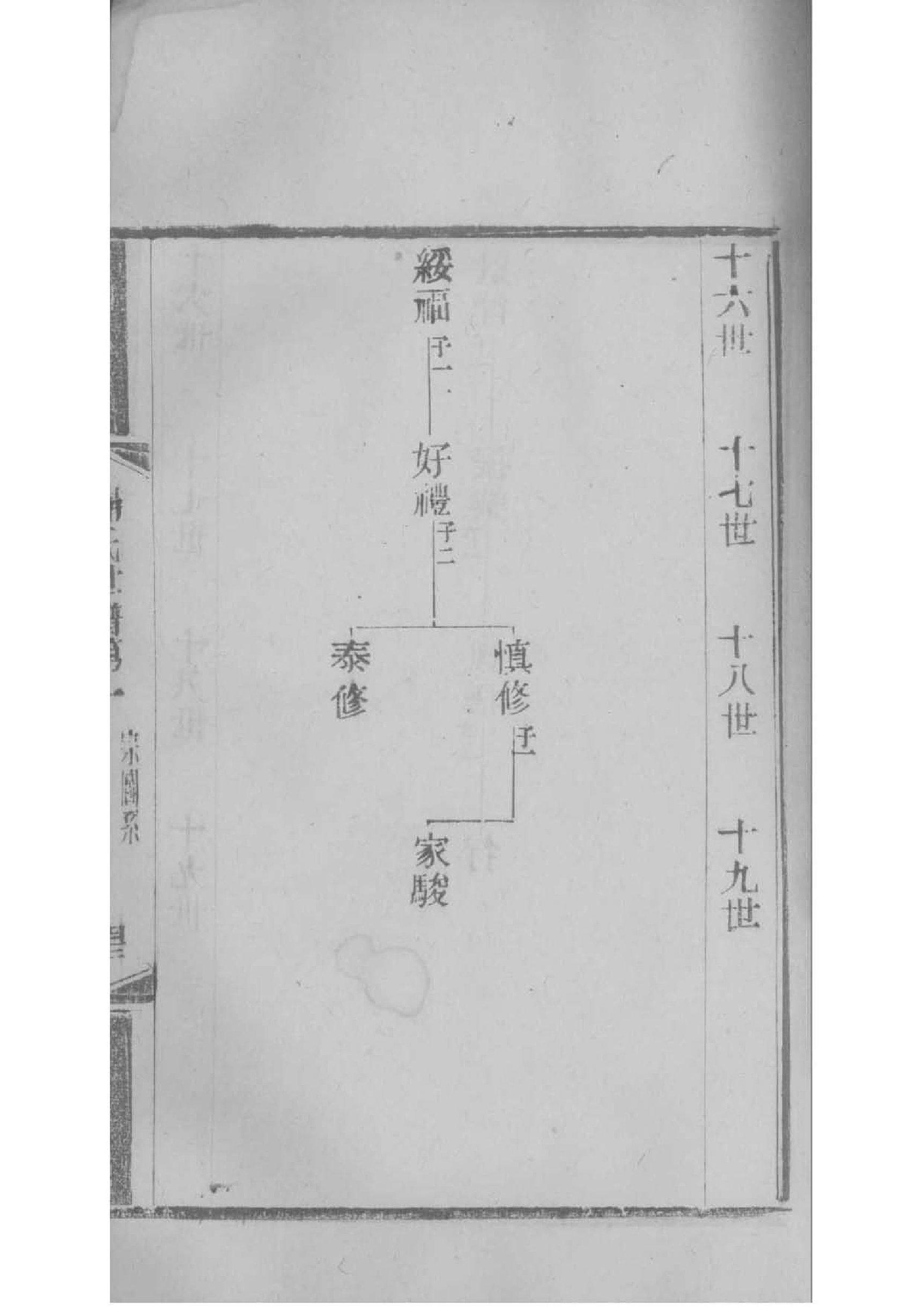 族谱网站