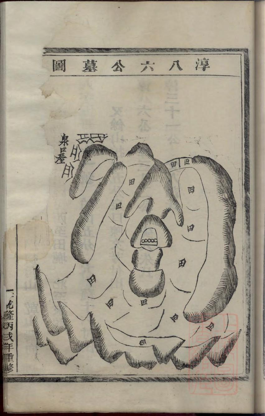 何氏族谱完整版
