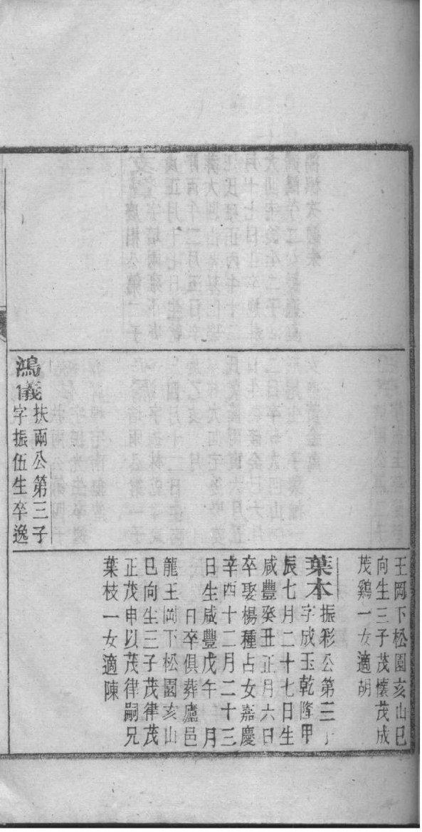 族谱家谱格式模板