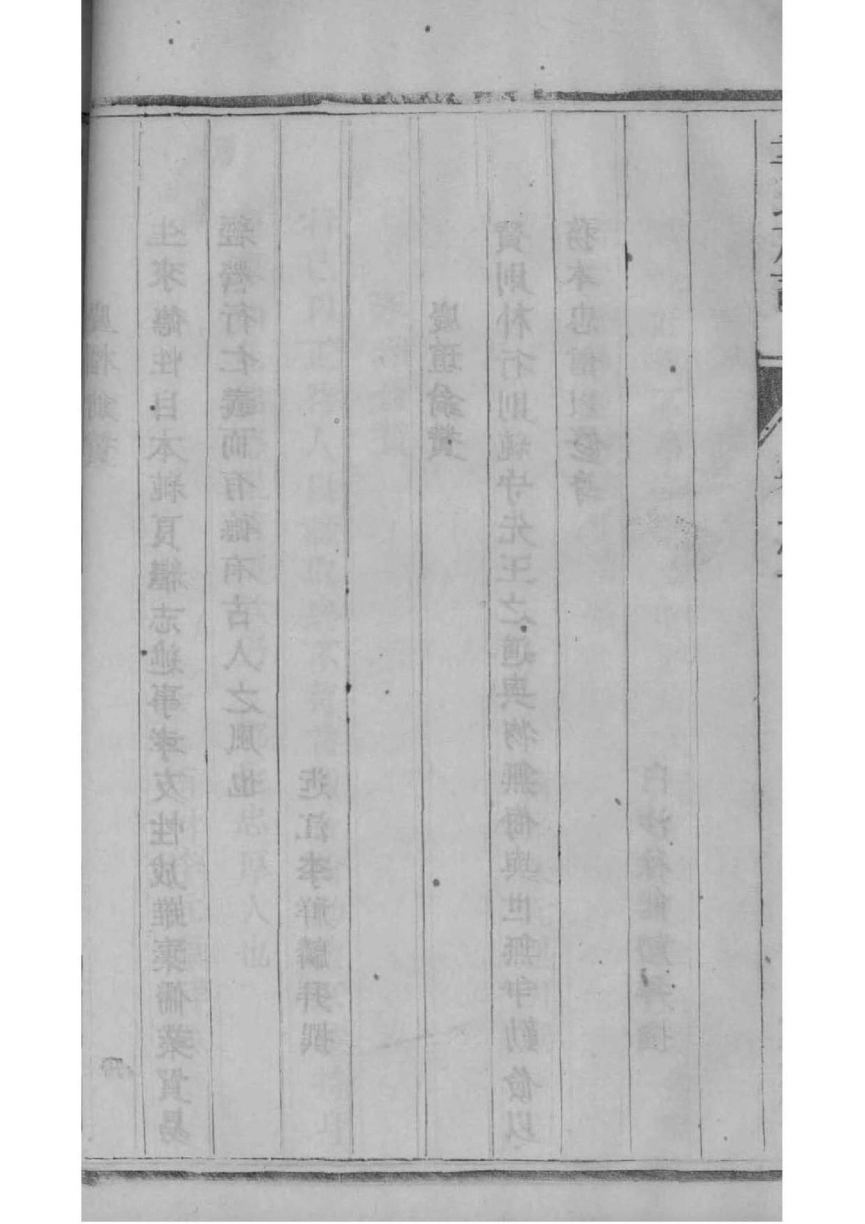 金信云族谱