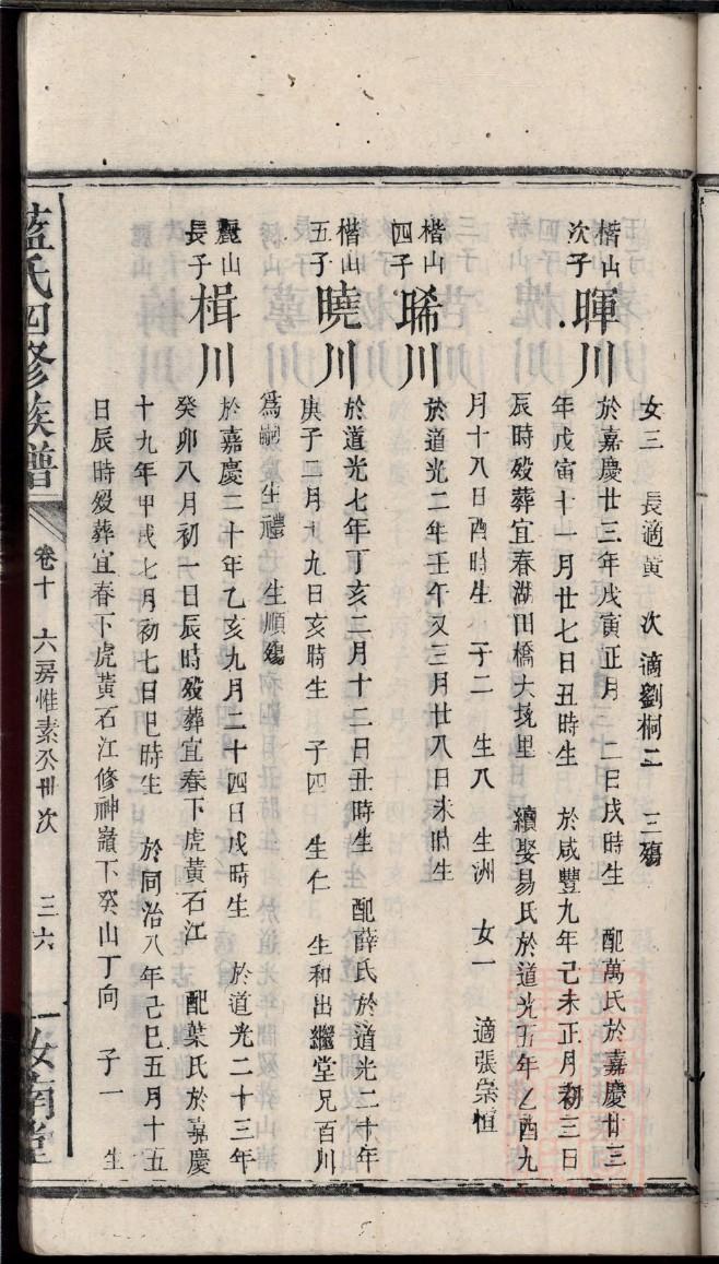 权氏家谱查询