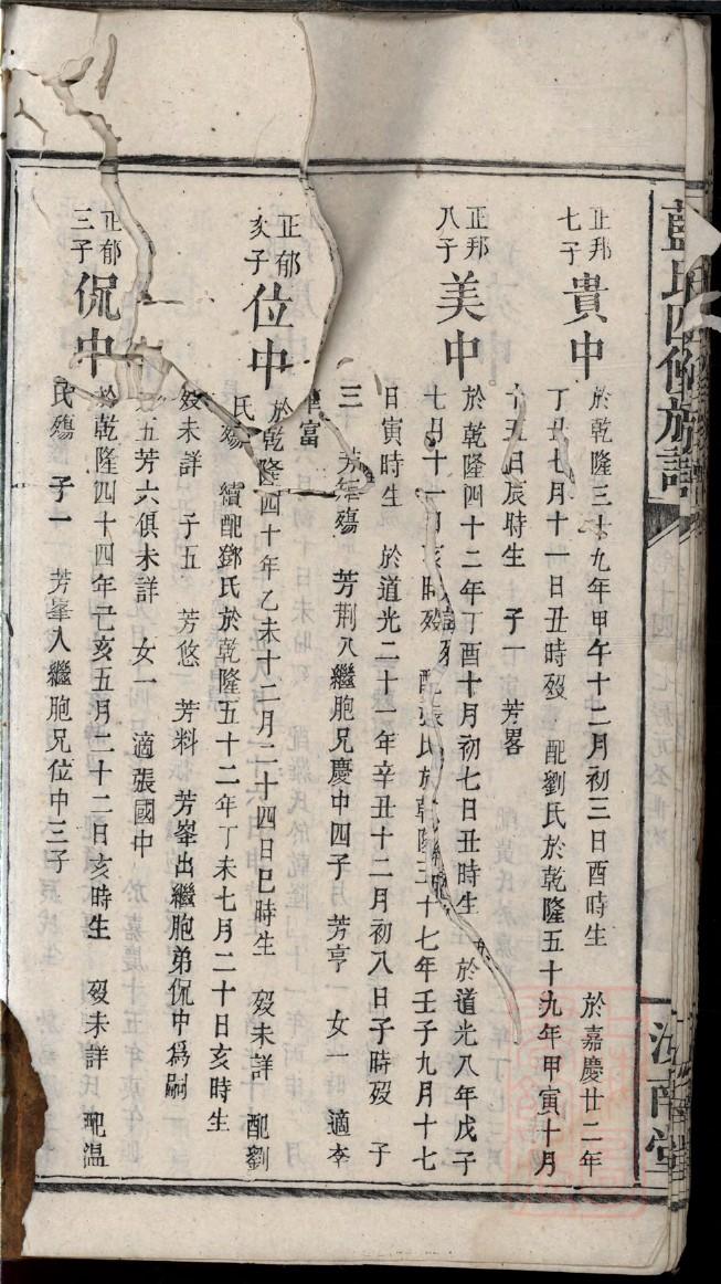 全国家谱一览表